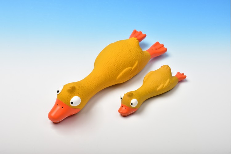 Latex Duck